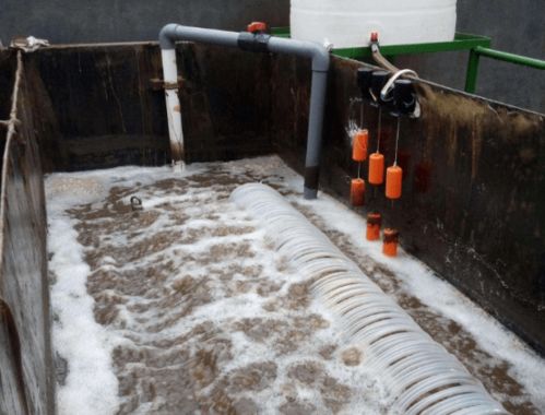 食品厂污水氨氮处理及反光膜的应用